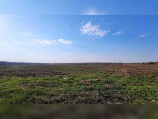 Продам зем участок фото Карталы