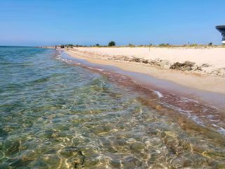 2 гектара у моря в курортном пригороде Евпатории фото Молочное