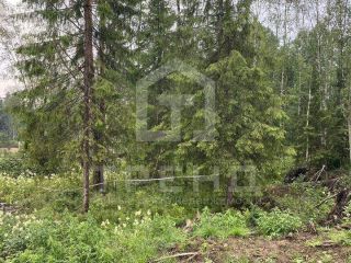Продается земельный участок с коммуникациями подключена канализация фото Всеволожск